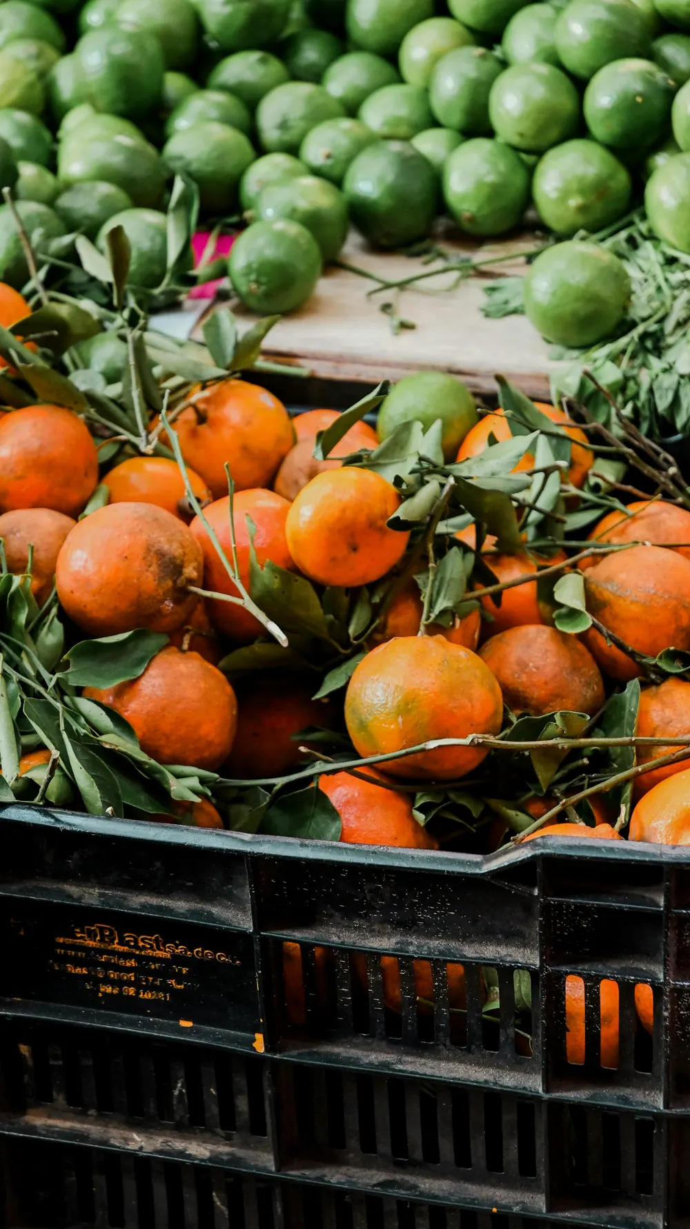 Oranges with leaves and green limes stacked in black produce crates