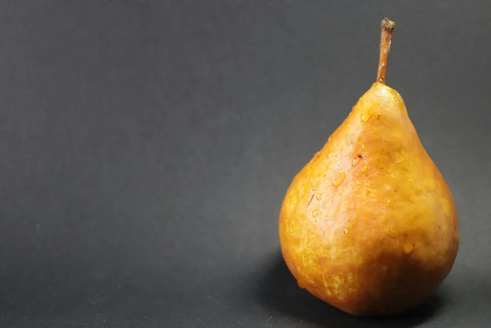 A single ripe golden pear on a dark grey background